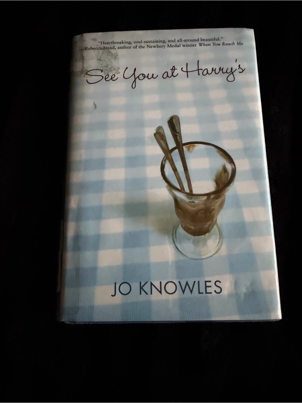 Knowles See You at Harry's - Blue Plaid Hardcover